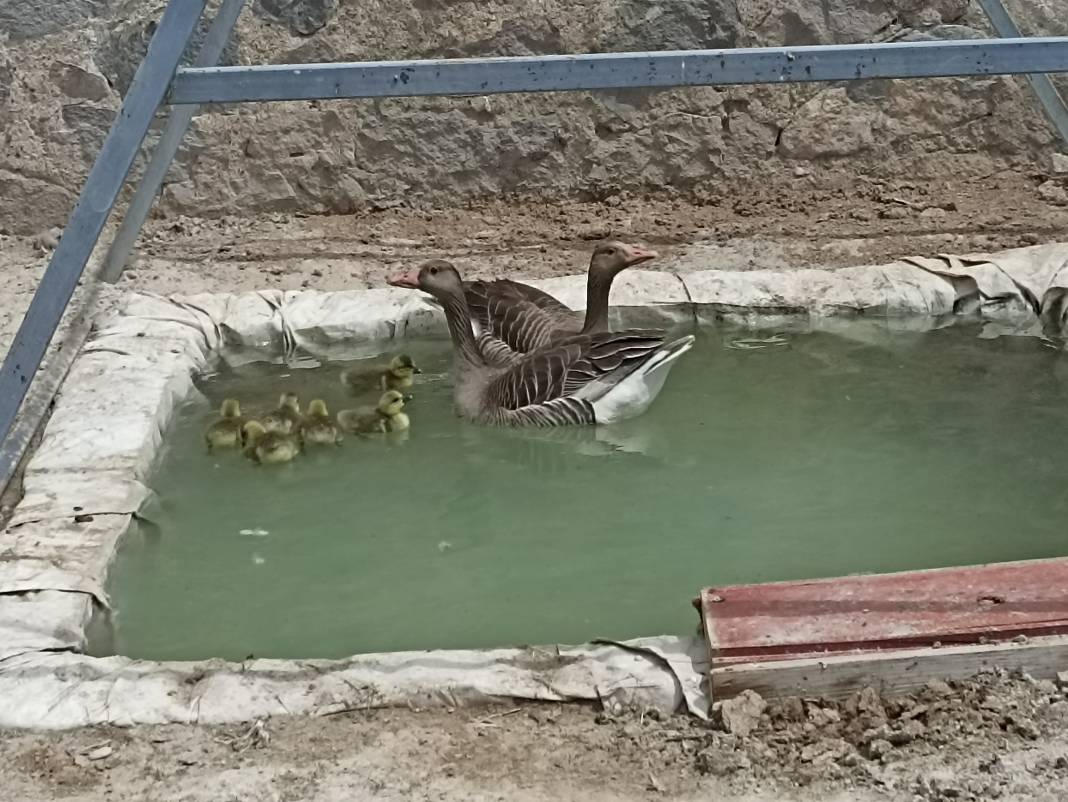 Günün güzel haberi: Konyalı şoför yaptığıyla alkış aldı 4